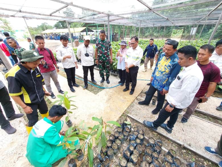 Kawasan Integrasi Kakao Desa Sajau, Implementasi Kurikulum Merdeka Belajar